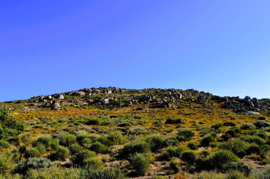 0 Bedroom Property for Sale in St Helena Views Western Cape